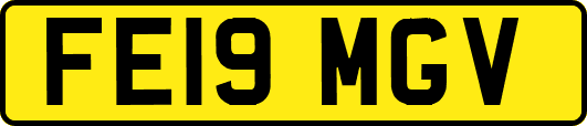 FE19MGV