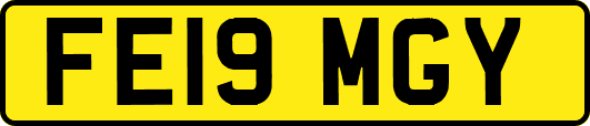 FE19MGY
