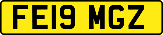 FE19MGZ