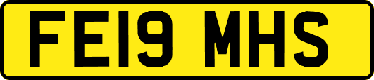 FE19MHS