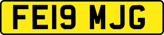 FE19MJG