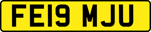 FE19MJU