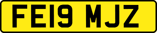 FE19MJZ