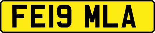 FE19MLA