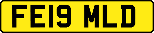 FE19MLD