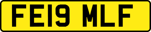 FE19MLF