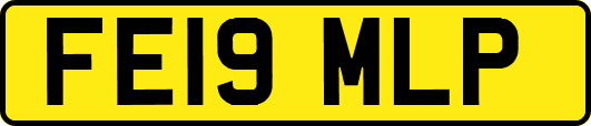 FE19MLP