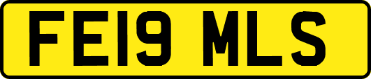 FE19MLS