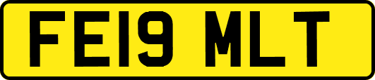 FE19MLT