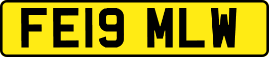 FE19MLW