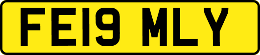 FE19MLY