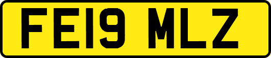 FE19MLZ