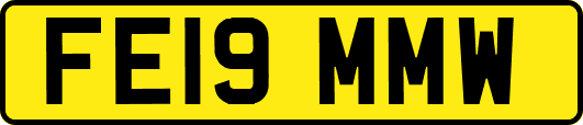 FE19MMW