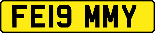 FE19MMY