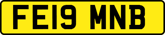 FE19MNB