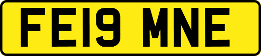 FE19MNE