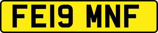 FE19MNF