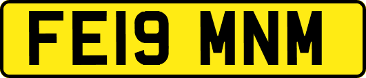 FE19MNM