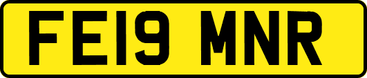 FE19MNR