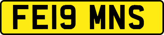 FE19MNS