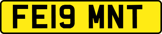FE19MNT