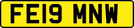 FE19MNW