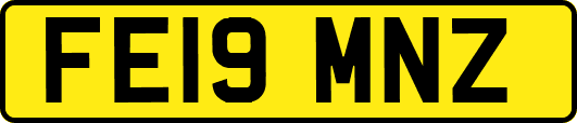 FE19MNZ