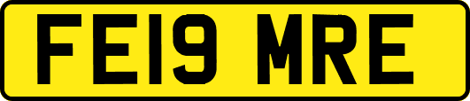FE19MRE