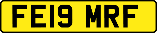FE19MRF