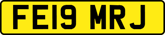 FE19MRJ