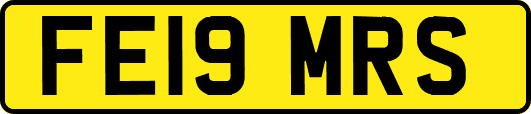 FE19MRS