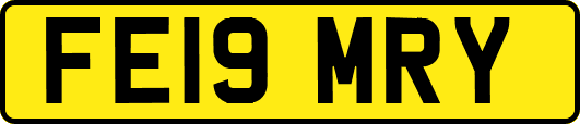 FE19MRY