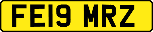 FE19MRZ