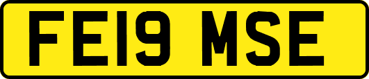 FE19MSE