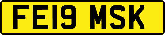 FE19MSK