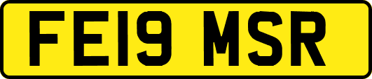 FE19MSR