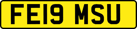 FE19MSU