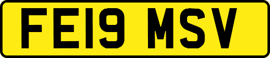 FE19MSV