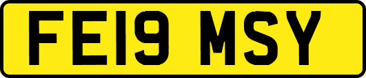 FE19MSY