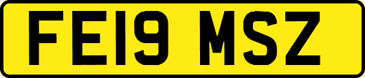 FE19MSZ