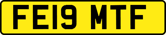 FE19MTF