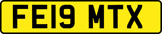 FE19MTX