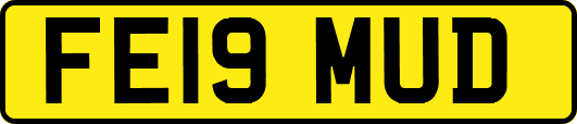 FE19MUD