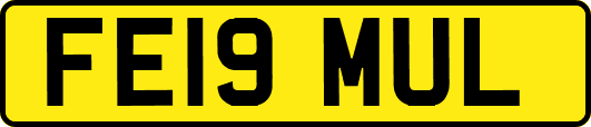 FE19MUL