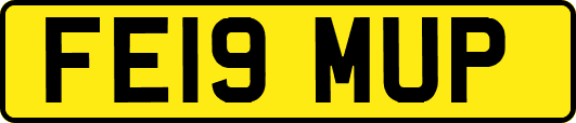 FE19MUP