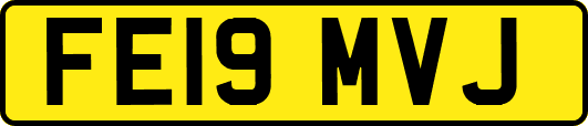 FE19MVJ