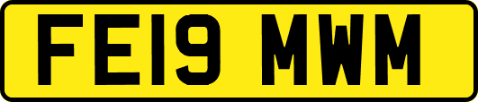 FE19MWM