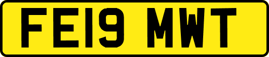 FE19MWT
