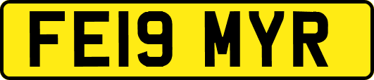 FE19MYR