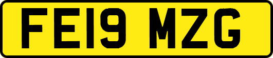FE19MZG